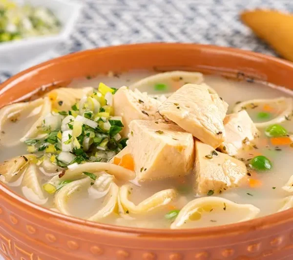 23.Sopa de fideos y pollo 023.Sopa de fideos y pollo
